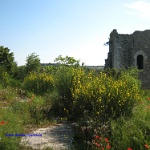 2008.05.11 saint restitut-17
