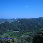 2008.05.11 saint restitut-31