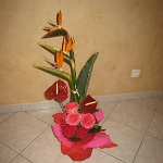 2008.08.31 bernex-59