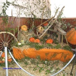 2008.10.11 ornex divers-14