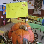 2008.10.11 ornex divers-32