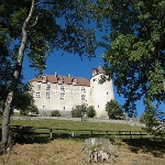 IMG 3062