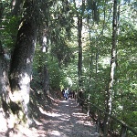 IMG 3063