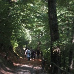 IMG 3064