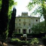 DSC 0203