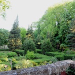 DSC 0376