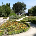 St Restitut pentecote 2011 - 0121