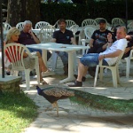 DSC00078