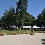 DSC 0006
