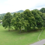 A 19 DSC 0024