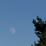 dsc 0497a