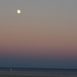 DSC 0004