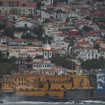 DSC 0341