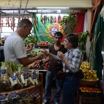 DSC 0370