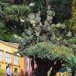 DSC 0422