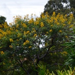 DSC 0455