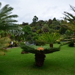 DSC 0457