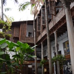 DSC 0284