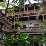 DSC 0291