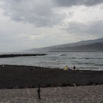 DSC 0310