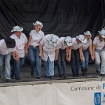 juin 2013 demo prevessin 179