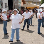 2014.08.03 fete de la batteuse demo 54