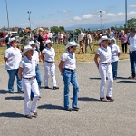 2015.08.02 fete de la batteuse 87