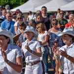 2015.08.02 fete de la batteuse 158