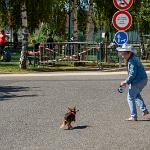 2021.08.28 journeee associations cessy49